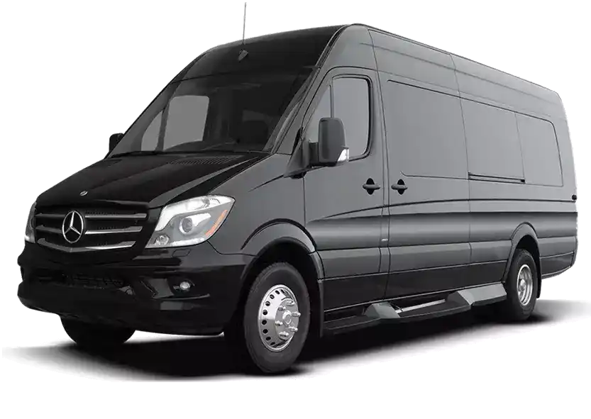 Памятник Лида изображение